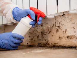 Reliable Soledad, CA Mold Removal & Remediation Solutions